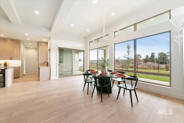 dining area featuring light hardwood / wood-style floors and sink