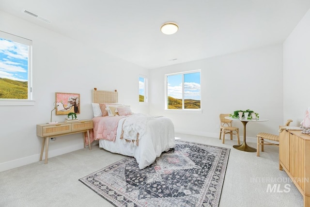 5935 E Marmount Ct, Boise, ID 83716 - bedroom with light carpet and baseboards