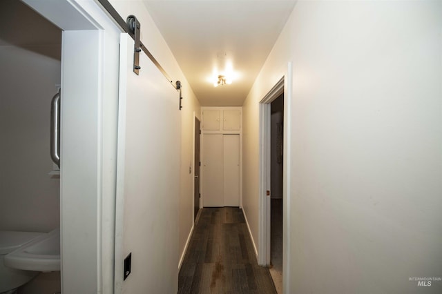 hallway with a barn door and dark hardwood / wood-style flooring