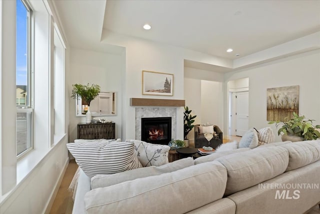 2316 E Valensole St, Meridian, ID 83642 - living area featuring wood finished floors, a premium fireplace, baseboards, and recessed lighting