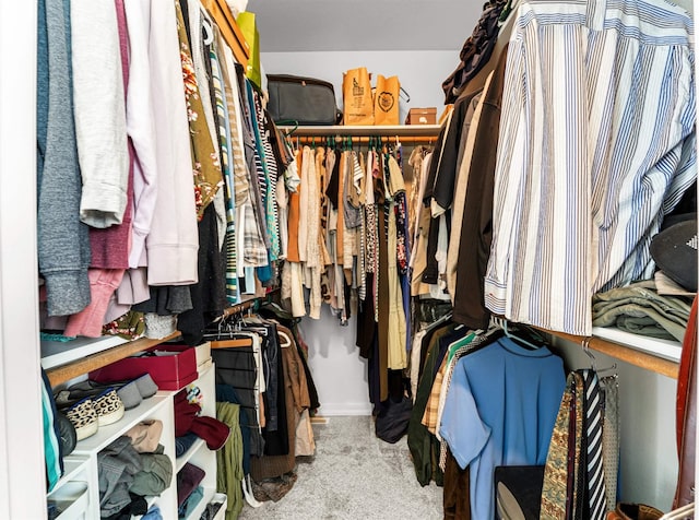 3832 W Aspen Creek Ct, Meridian, ID 83642 - spacious closet featuring carpet floors