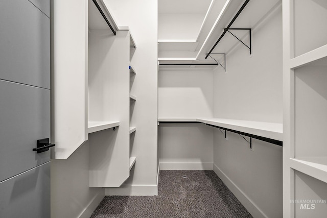 6825 W Ustick, Boise, ID 83704 - walk in closet featuring carpet