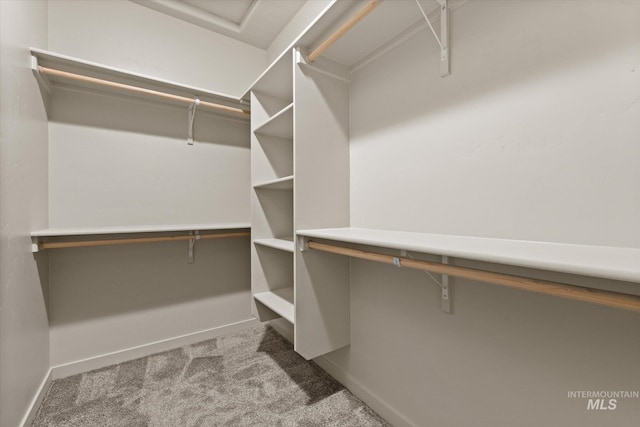 2089 W Claira Rd, Nampa, ID 83651 - walk in closet with carpet flooring