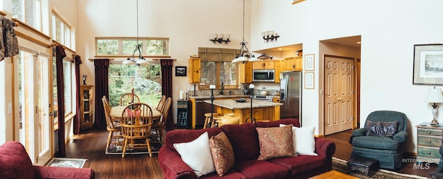 1013 Penstemen Pl, Mccall, ID 83638 - living area with dark wood-style floors and a high ceiling
