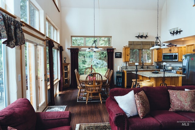 1013 Penstemen Pl, Mccall, ID 83638 - living room with a high ceiling and dark wood-style floors
