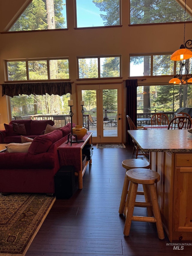 1013 Penstemen Pl, Mccall, ID 83638 - living room with dark wood-style flooring and a high ceiling