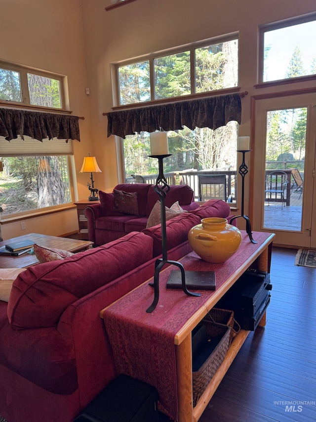 1013 Penstemen Pl, Mccall, ID 83638 - living area featuring wood finished floors, plenty of natural light, and a towering ceiling