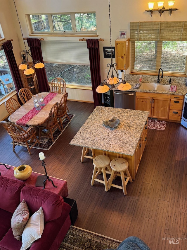 1013 Penstemen Pl, Mccall, ID 83638 - dining area featuring healthy amount of natural light and dark wood-type flooring