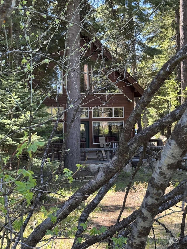 1013 Penstemen Pl, Mccall, ID 83638 - view of property exterior