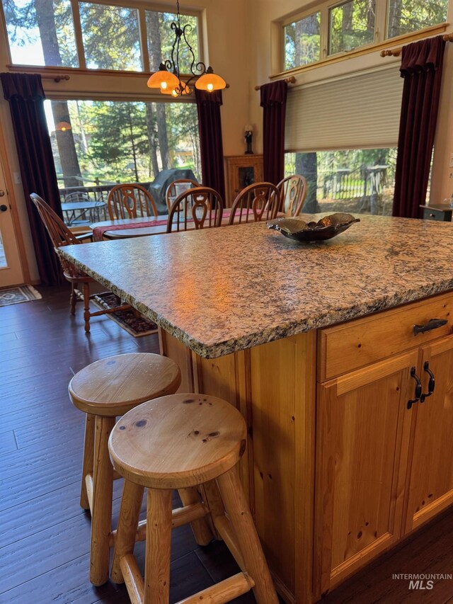 1013 Penstemen Pl, Mccall, ID 83638 - dining area featuring a chandelier and dark wood-type flooring