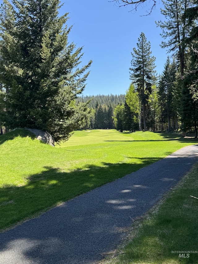 1013 Penstemen Pl, Mccall, ID 83638 - surrounding community featuring a yard and a forest view