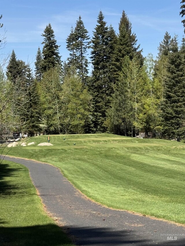 1013 Penstemen Pl, Mccall, ID 83638 - view of property's community featuring a lawn