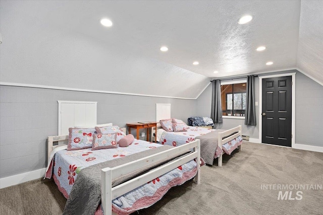 186 Phillips Creek Ln, Fairfield, ID 83327 - carpeted bedroom featuring lofted ceiling, recessed lighting, a baseboard heating unit, a textured ceiling, and baseboards