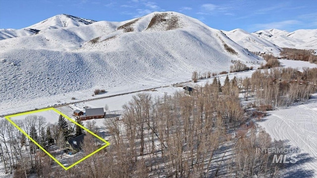 186 Phillips Creek Ln, Fairfield, ID 83327 - view of mountain background