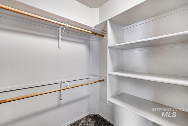 1022 S Date St, Jerome, ID 83338 - walk in closet featuring carpet flooring