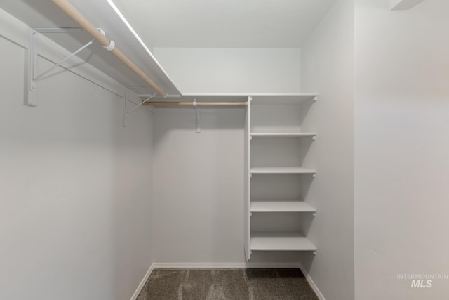 spacious closet with carpet