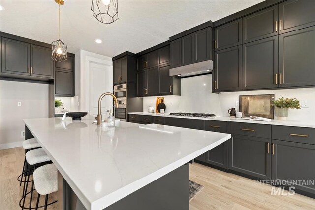 7680 W Old School St, Meridian, ID 83646 - kitchen featuring light wood-style floors, under cabinet range hood, recessed lighting, stainless steel appliances, and pendant lighting