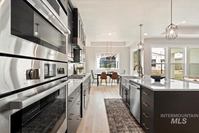 7680 W Old School St, Meridian, ID 83646 - kitchen featuring stainless steel appliances, a sink, light countertops, a textured ceiling, and dark cabinets