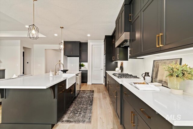 7680 W Old School St, Meridian, ID 83646 - kitchen with recessed lighting, a sink, light wood-type flooring, light countertops, and a spacious island