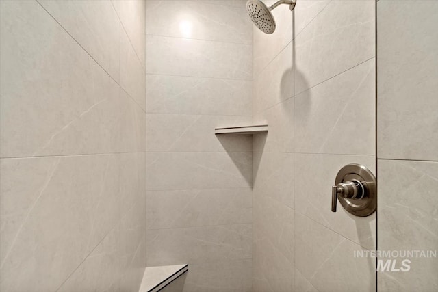 7680 W Old School St, Meridian, ID 83646 - bathroom view of tiled shower