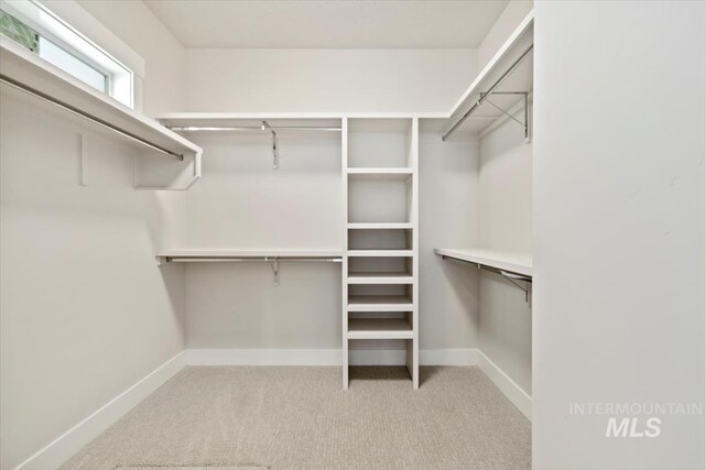 7680 W Old School St, Meridian, ID 83646 - spacious closet with carpet flooring