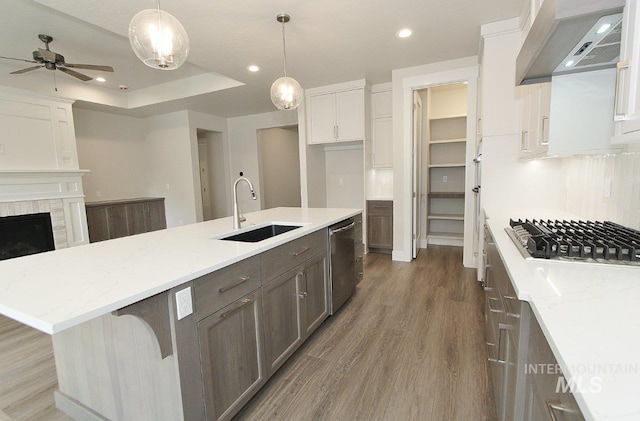 kitchen featuring extractor fan, stainless steel appliances, wood finished floors, a sink, and a raised ceiling