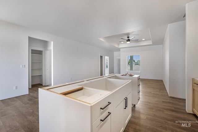 1012 23rd Ave E, Jerome, ID 83338 - kitchen featuring white cabinetry, a kitchen island, a tray ceiling, dark wood-style flooring, and a ceiling fan
