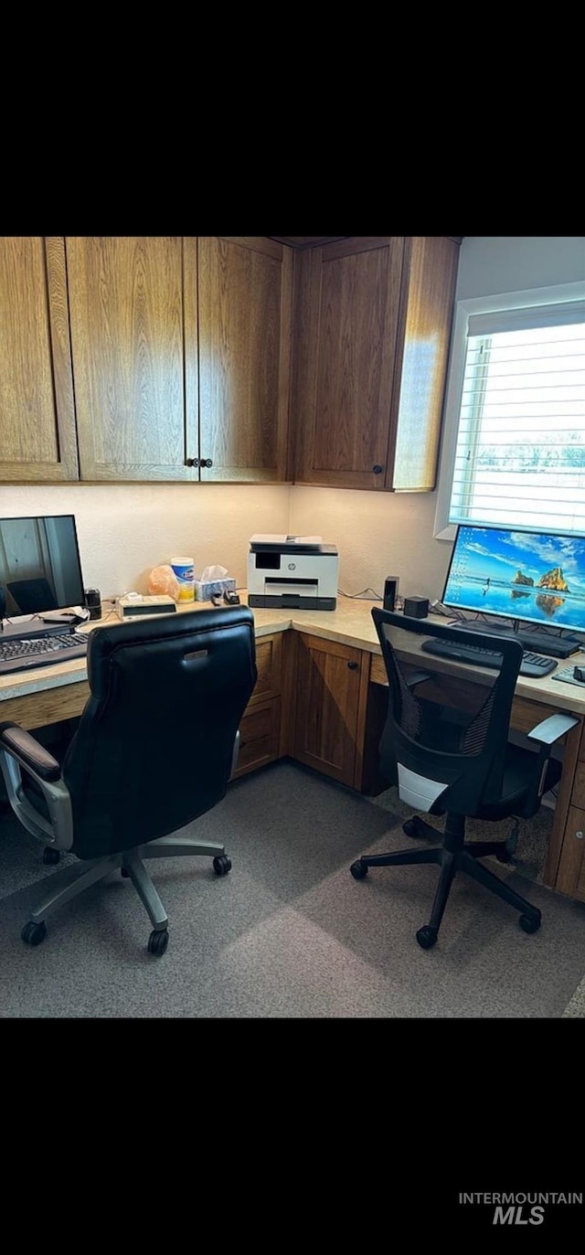 office featuring carpet flooring