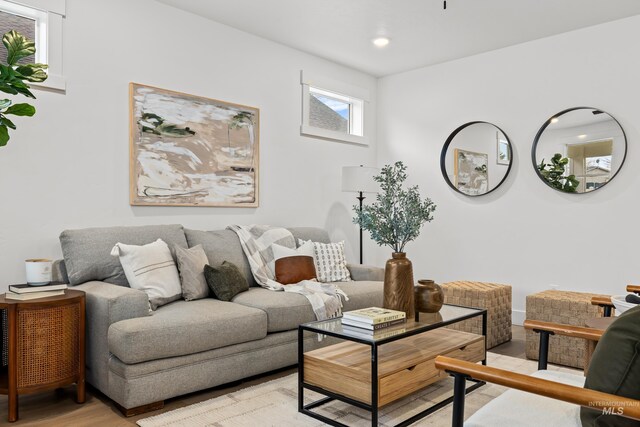 living room featuring light hardwood / wood-style flooring