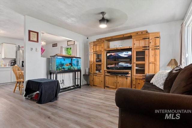 107 Nogales, Caldwell, ID 83605 - living room featuring light wood-type flooring and a ceiling fan