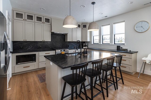 1047 Kaitlyn Loop, Mccall, ID 83638 - kitchen with stainless steel appliances, a sink, tasteful backsplash, light wood finished floors, and a kitchen breakfast bar