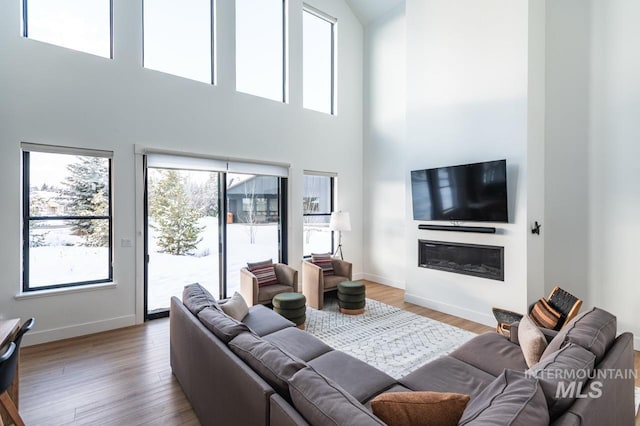 1047 Kaitlyn Loop, Mccall, ID 83638 - living room with plenty of natural light, a high ceiling, wood finished floors, and baseboards