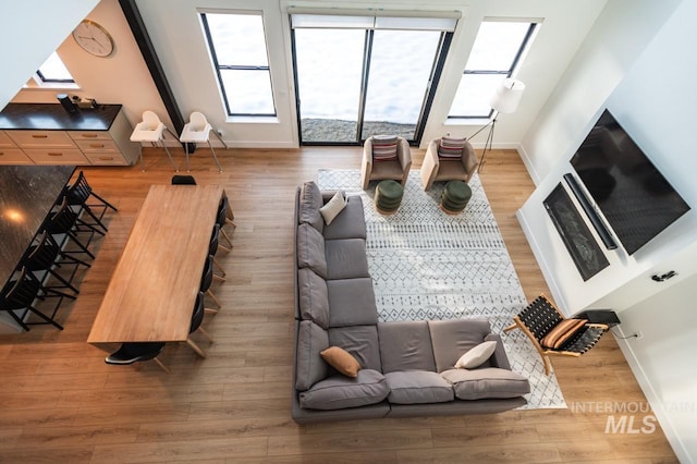 1047 Kaitlyn Loop, Mccall, ID 83638 - living room featuring baseboards and wood finished floors