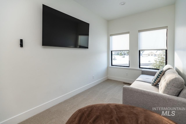1047 Kaitlyn Loop, Mccall, ID 83638 - living area with carpet and baseboards