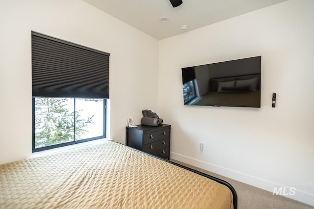 1047 Kaitlyn Loop, Mccall, ID 83638 - bedroom with carpet flooring, baseboards, and ceiling fan
