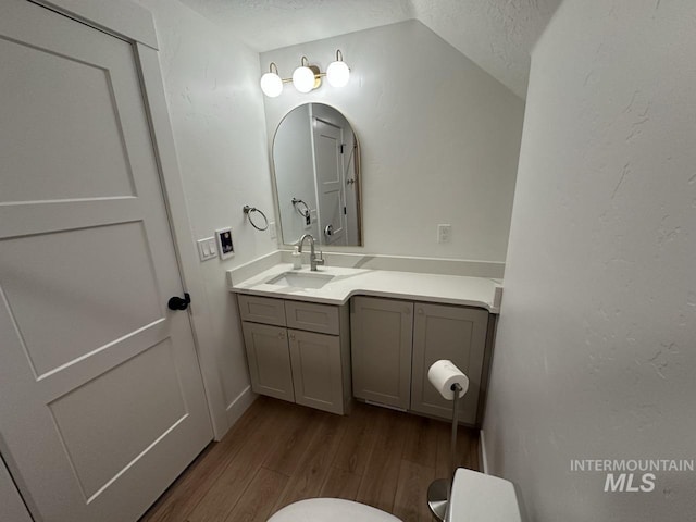 1047 Kaitlyn Loop, Mccall, ID 83638 - half bathroom featuring wood finished floors, toilet, vanity, lofted ceiling, and a textured ceiling