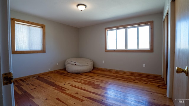 interior space featuring a closet and wood-type flooring