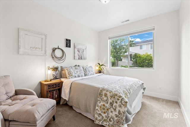 1041 White Horse Ridge Dr, Middleton, ID 83644 - bedroom with light carpet and baseboards