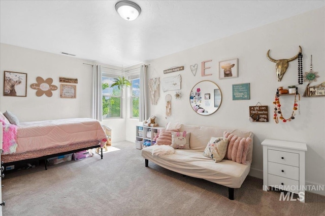 1041 White Horse Ridge Dr, Middleton, ID 83644 - view of carpeted bedroom
