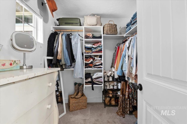 1041 White Horse Ridge Dr, Middleton, ID 83644 - spacious closet with carpet
