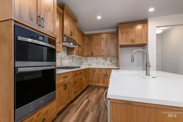 kitchen featuring dark hardwood / wood-style flooring, sink, tasteful backsplash, and stainless steel appliances