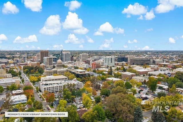 drone / aerial view featuring a city view