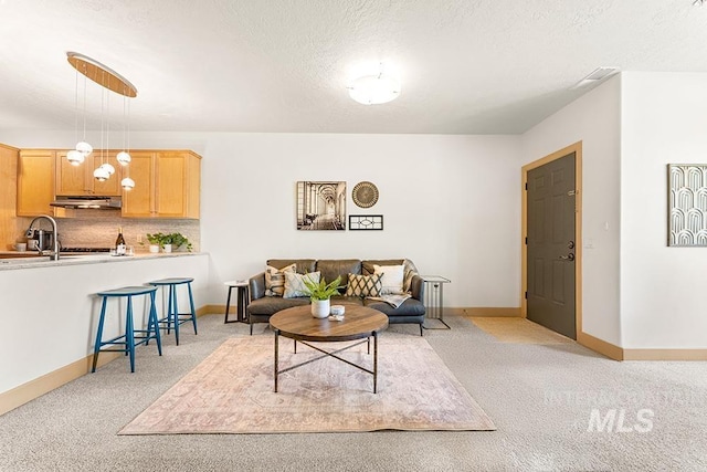 living area with light carpet, baseboards, and a textured ceiling
