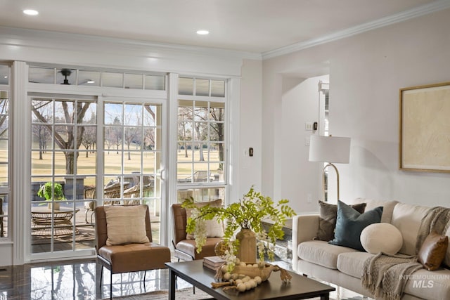 1915 S Roosevelt St, Boise, ID 83705 - living area featuring crown molding and recessed lighting