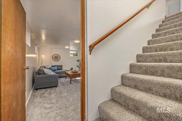 staircase featuring carpet