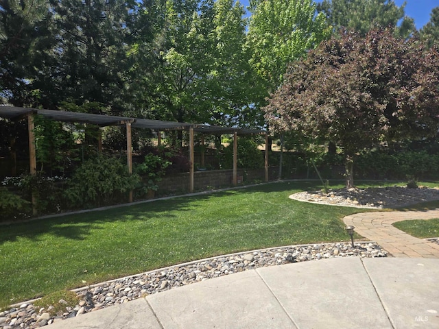 view of yard featuring a patio area