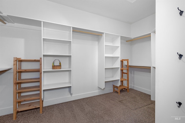 spacious closet with carpet floors