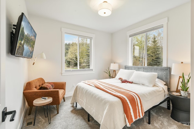 1112 Mos Way, Mccall, ID 83638 - bedroom featuring carpet, multiple windows, and baseboards