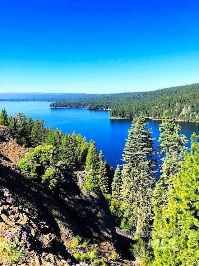1112 Mos Way, Mccall, ID 83638 - bird's eye view of a heavily wooded area and a nearby body of water