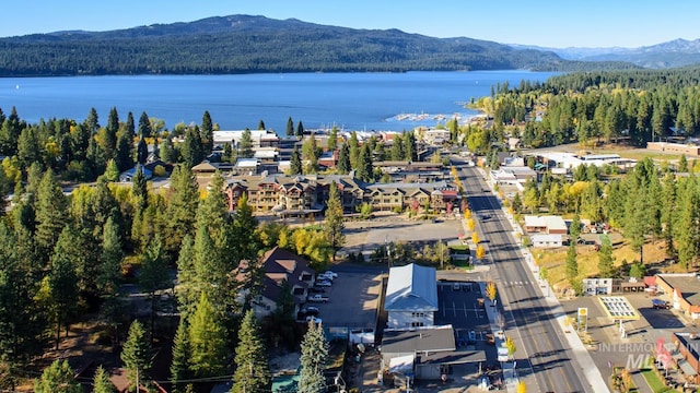 1112 Mos Way, Mccall, ID 83638 - aerial view of a forest and a water and mountain view